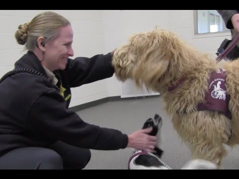 Riverside County - Southwest Juvenile Hall Canine Program - California ...