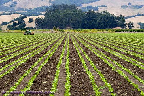 Farmland Protection Gets Much-needed Attention at Napa Conference ...